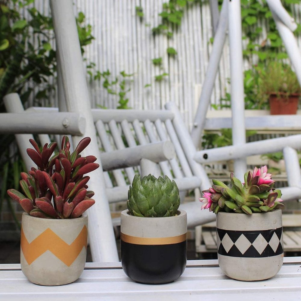 🌻NEW🌻 Modern Farmhouse Succulent Plant Pots - Picture 2 of 8